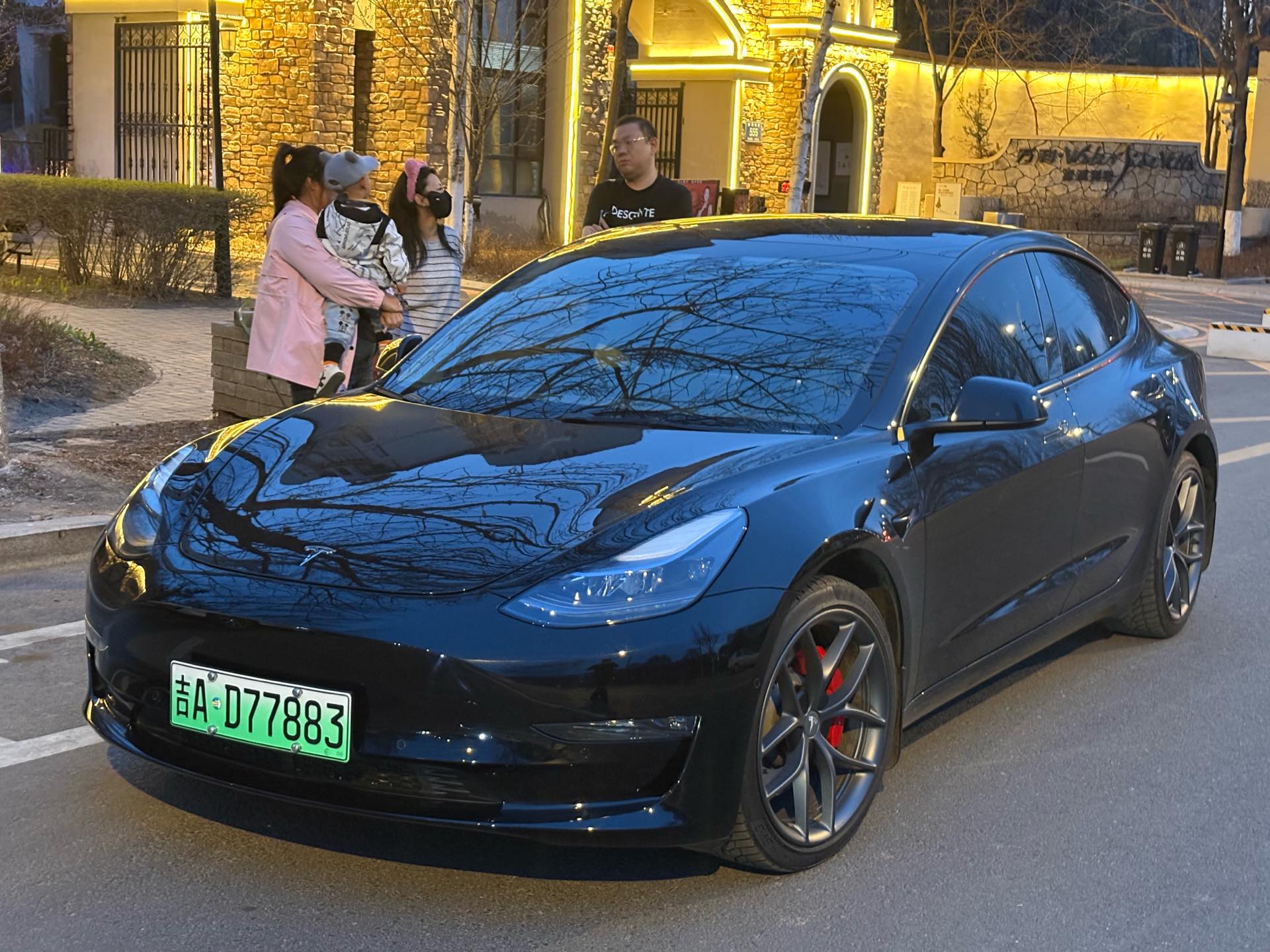 Tesla Model 3 2022 Tesla Model 3 2022 car image