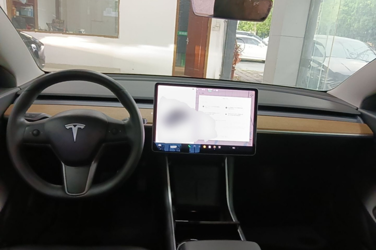 Tesla Model 3 2020 car image #10