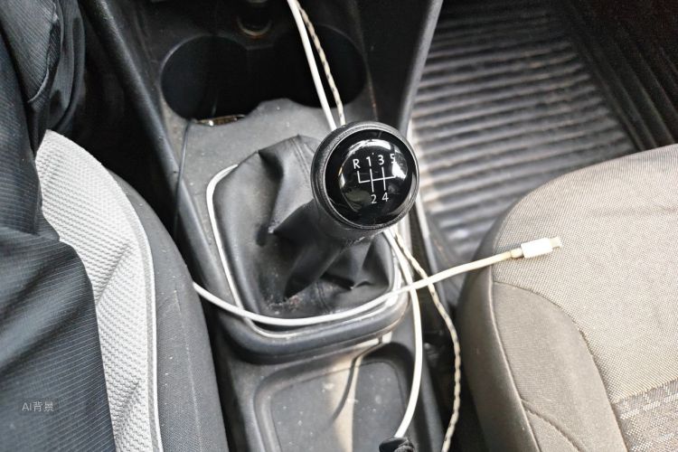Volkswagen Polo 2015 car image #16