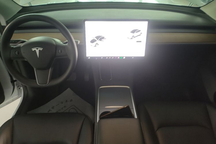 Tesla Model Y 2021 #13 Tesla Model Y 2021 car image #13