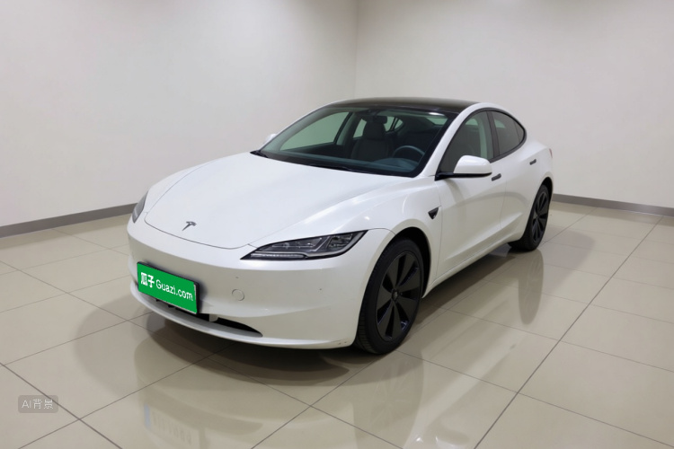 Tesla Model 3 2023 #2 Tesla Model 3 2023 car image #2