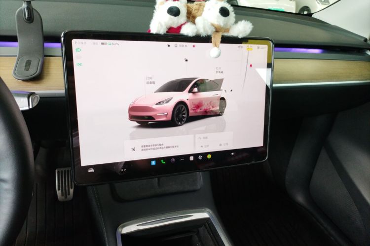 Tesla Model Y 2023 car image #13