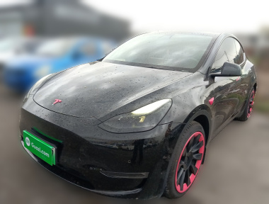 Tesla Model Y 2022 Tesla Model Y 2022 car image
