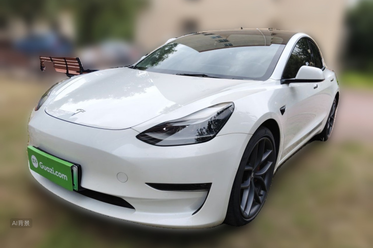 Tesla Model 3 2021 #2 Tesla Model 3 2021 car image #2