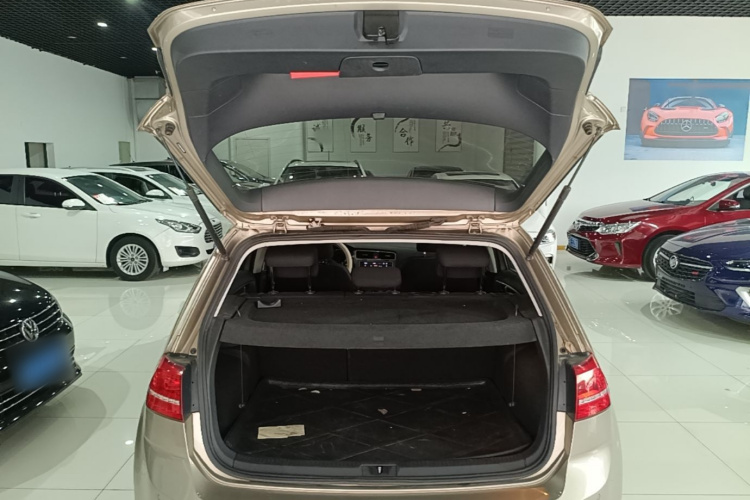 Volkswagen Golf 2016 car image #19