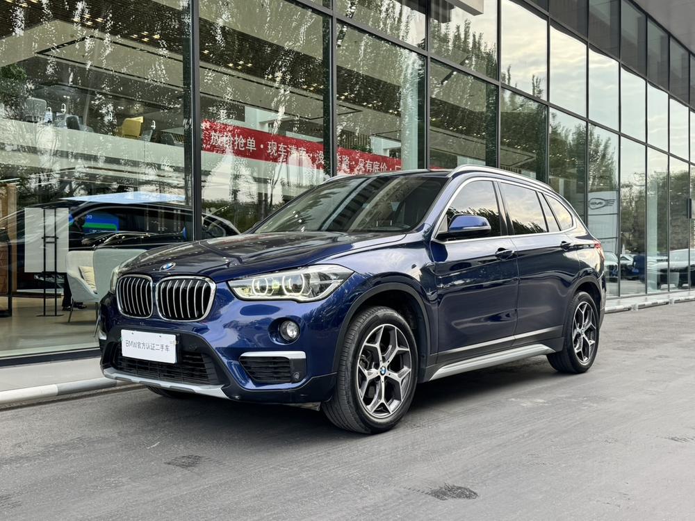 BMW X1 2019 car image 