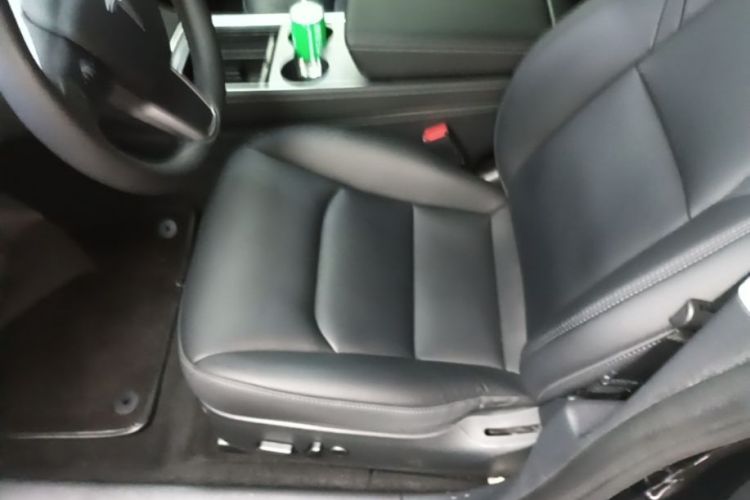 Tesla Model 3 2022 car image #15