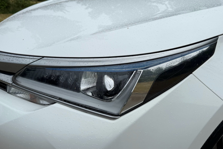 Toyota Corolla 2019 #10 Toyota Corolla 2019 car image #10