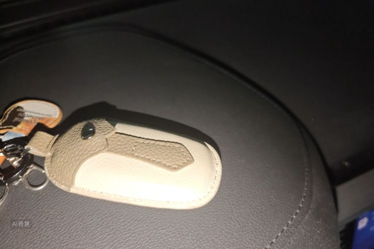 GEELY Emgrand 2019 immagine di auto #10