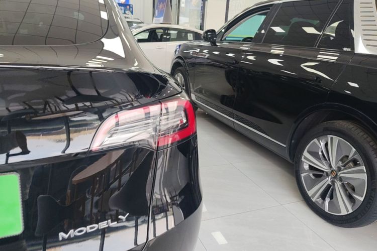 Tesla Model Y 2023 #8 Tesla Model Y 2023 car image #8