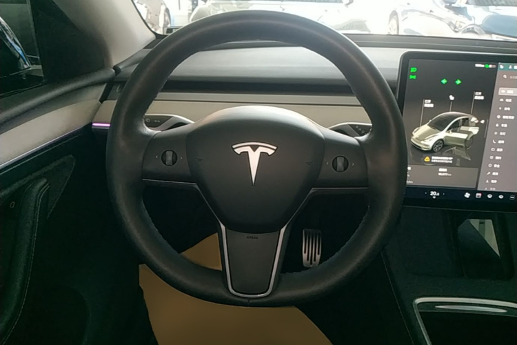 Tesla Model Y 2024 car image #11