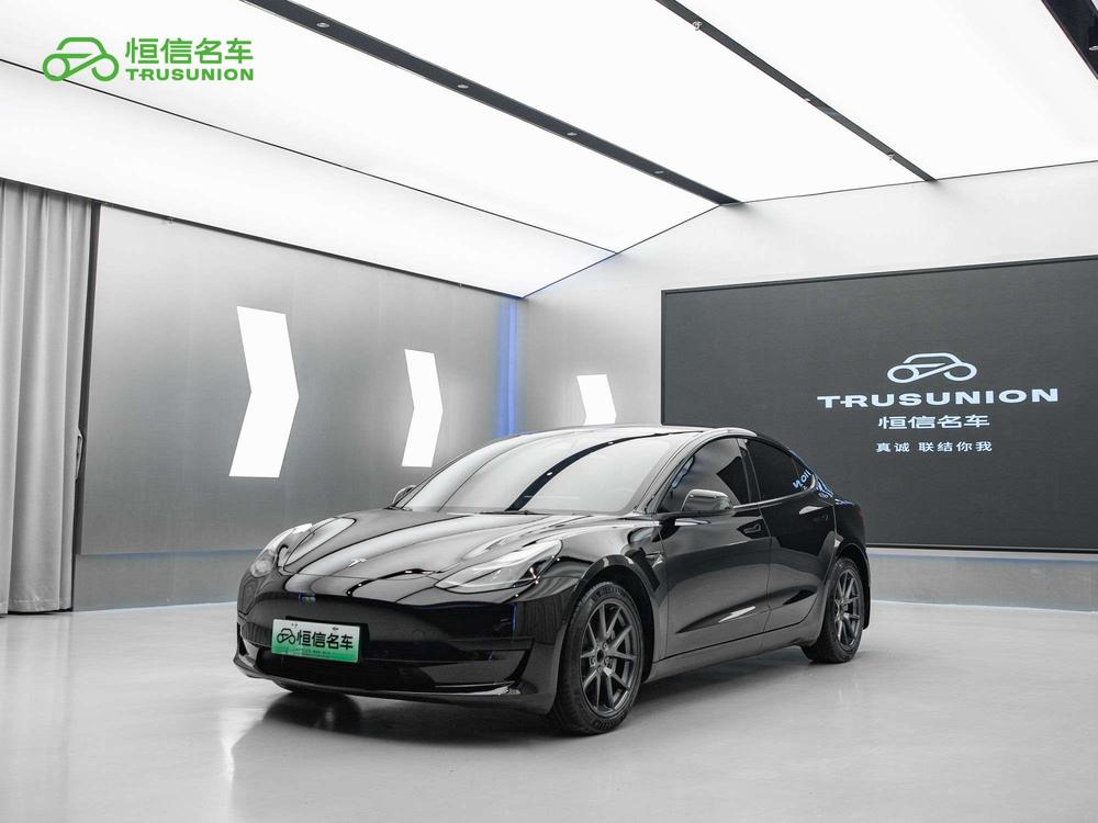 Tesla Model 3 2022 Tesla Model 3 2022 immagine di auto