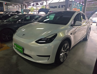 Tesla Model Y 2022 immagine di auto 
