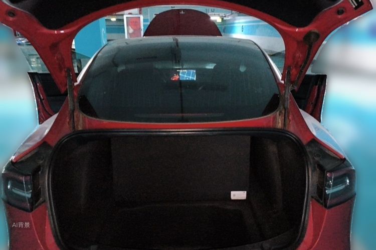 Tesla Model 3 2020 #21 Tesla Model 3 2020 car image #21