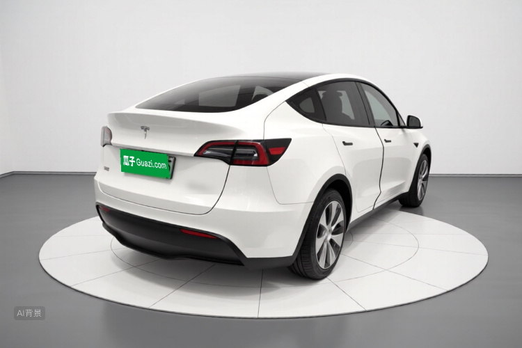 Tesla Model Y 2023 car image #7