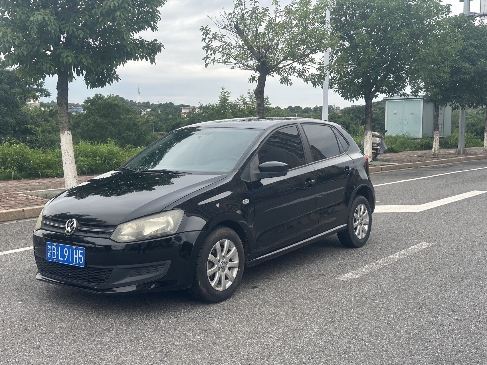 Volkswagen Polo 2012 Volkswagen Polo 2012 car image