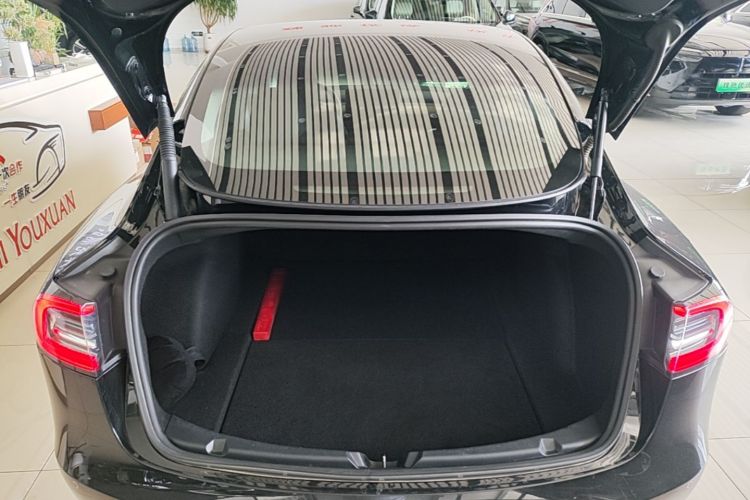 Tesla Model 3 2021 car image #19