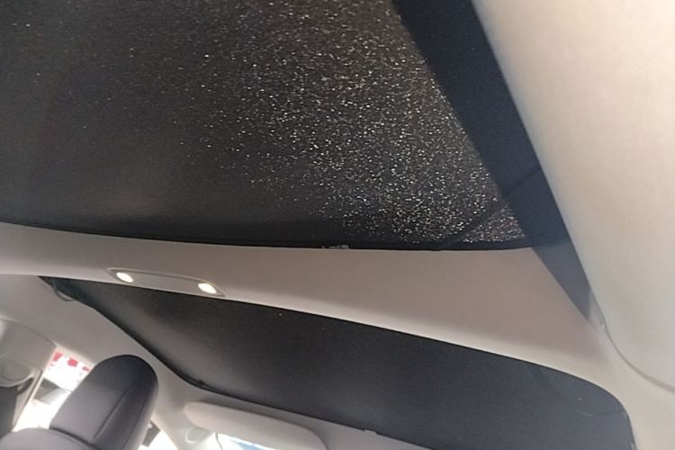 Tesla Model 3 2021 #20 Tesla Model 3 2021 car image #20