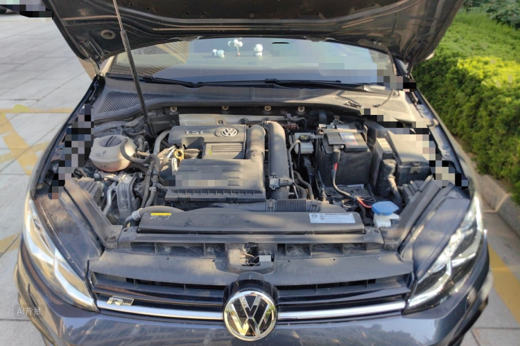 Volkswagen Golf 2018 car image #22