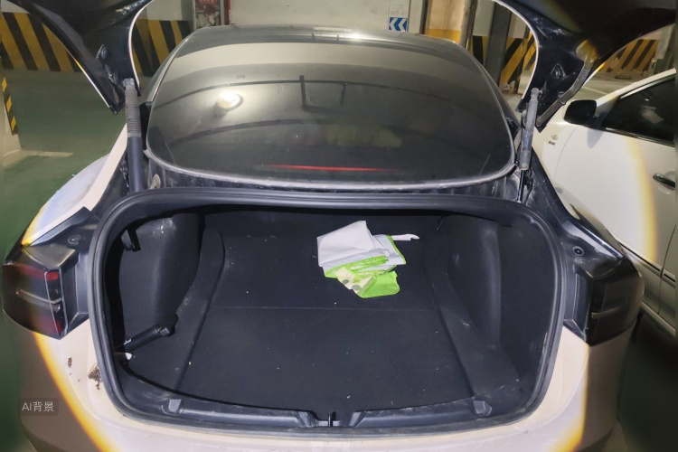 Tesla Model 3 2022 car image #21