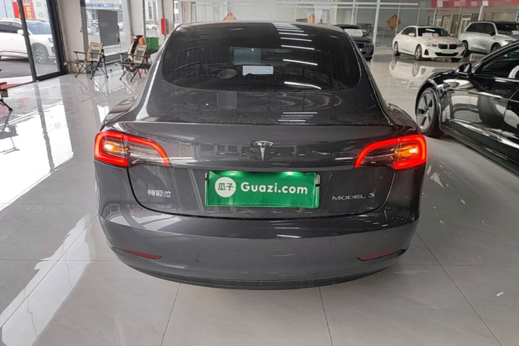 Tesla Model 3 2020 car image #6