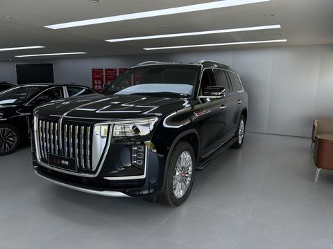 HongQi GuoYao 2025 HongQi GuoYao 2025 car image