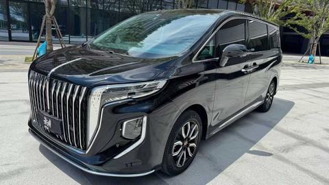 HongQi HQ9 2023 car image 