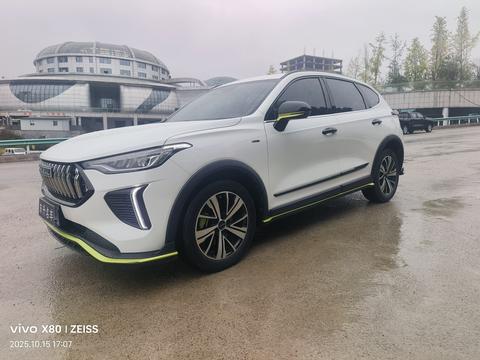 Haval Rabbit 2022 car image 