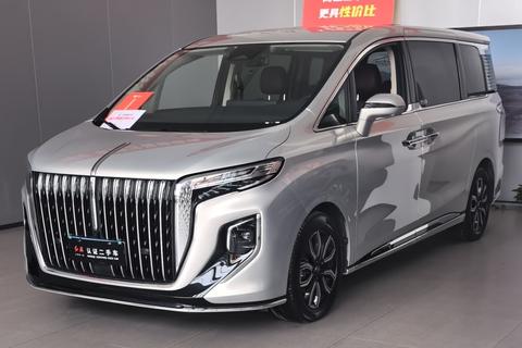 HongQi HQ9 2023 car image 
