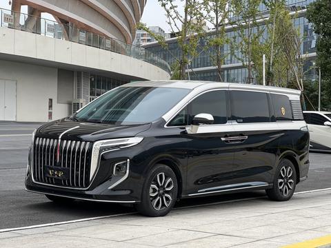 HongQi HQ9 2023 car image 