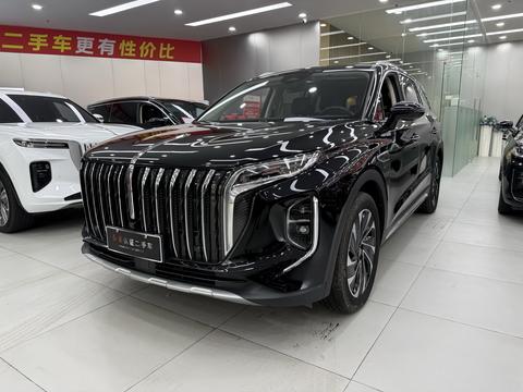 HongQi HS7 PHEV 2024 car image 