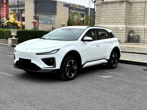 Neta X 2024 汽车图片 