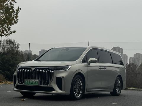 岚图汽车 岚图梦想家 2022 汽车图片 