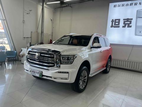 Tank 500 2024 Tank 500 2024 car image