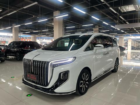 HongQi HQ9 2023 car image 