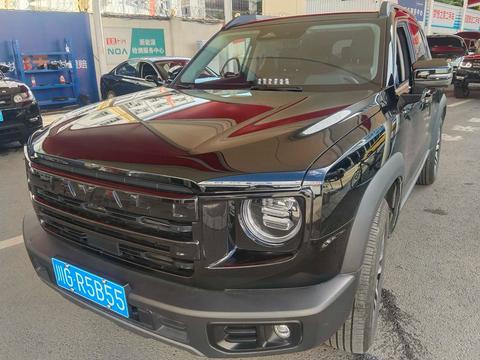 Haval X Dog / Dargo 2023 car image 