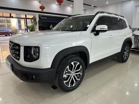 Haval X Dog / Dargo 2020 car image 