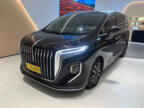 HongQi HQ9 2023 car image 