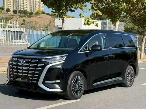 Denza X 2023 Denza X 2023 car image