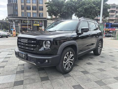 Haval X Dog / Dargo 2021 car image 