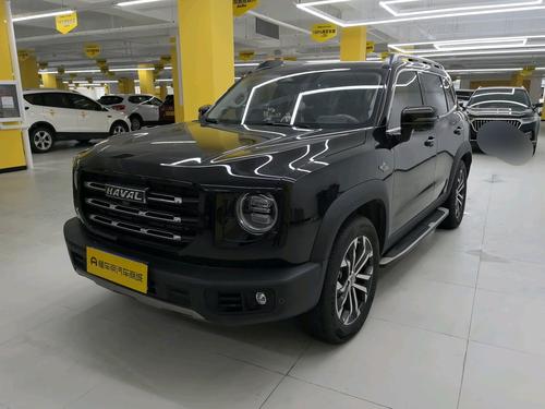 Haval X Dog / Dargo 2021 car image 