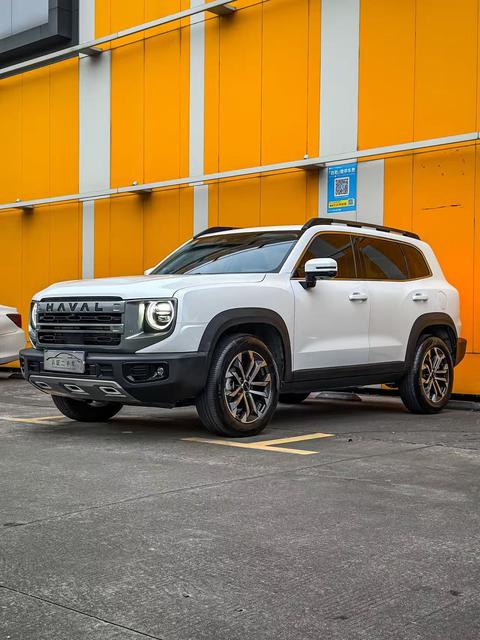 Haval X Dog / Dargo 2024 car image 