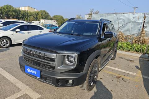 Haval X Dog / Dargo 2025 car image 