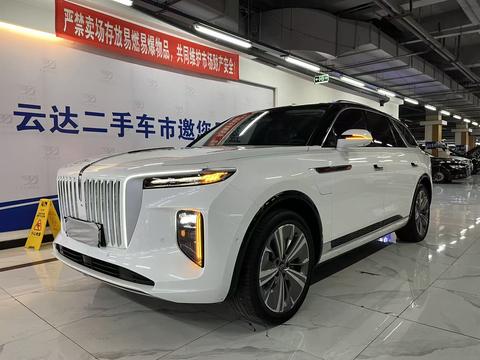 HongQi E-HS9 2022 car image 