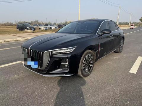 HongQi E-HS3 2025 car image 