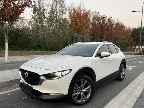 Mazda CX-30 EV 2021 汽车图片 