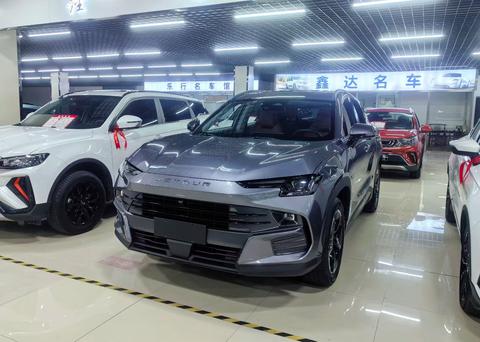 Jetour Dashing 2024 汽车图片 