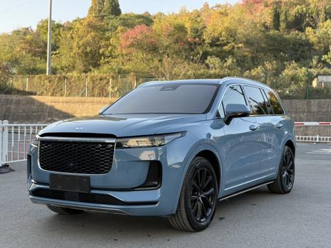 Li One 2021 汽车图片 