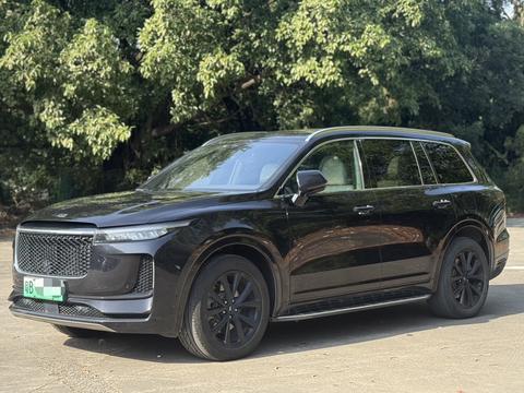 Li One 2020 汽车图片 