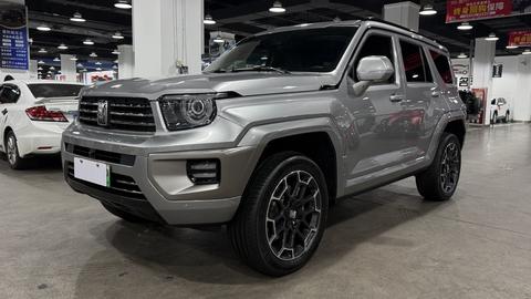 Tank 700 New Energy 2024 Tank 700 New Energy 2024 immagine di auto